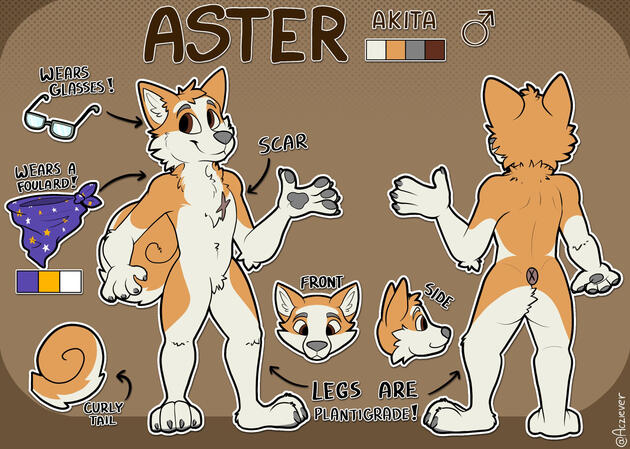 Character: Aster